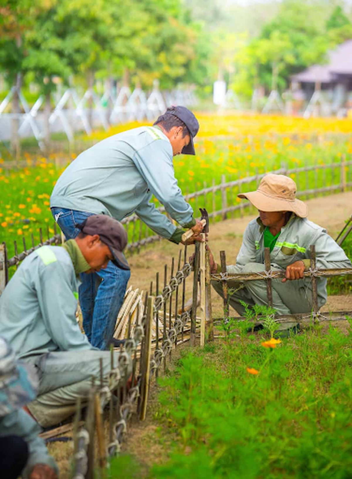 Chăm sóc mộ quách