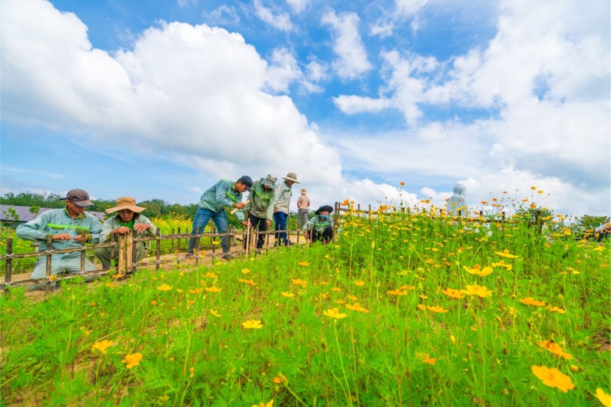 khu mộ người hoa