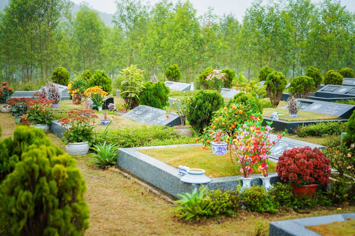 Mộ song thân phổ biến
