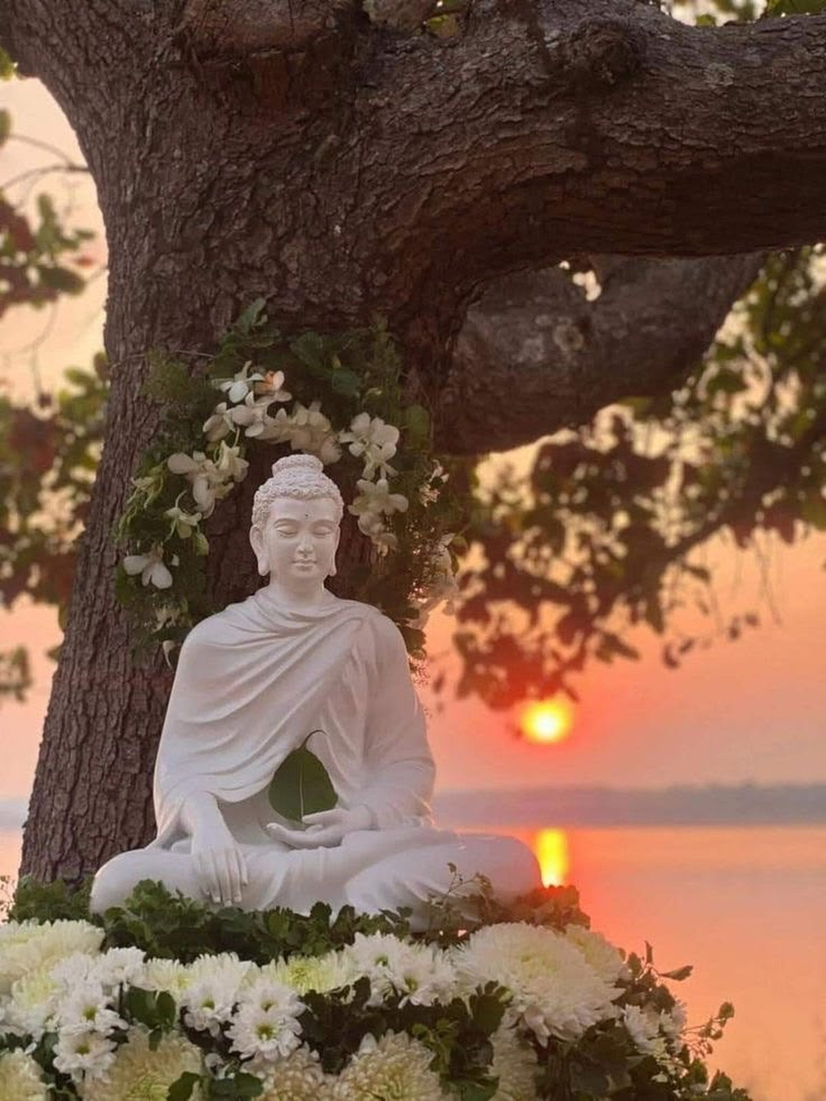 Ý nghĩa màu trắng trong Phật giáo