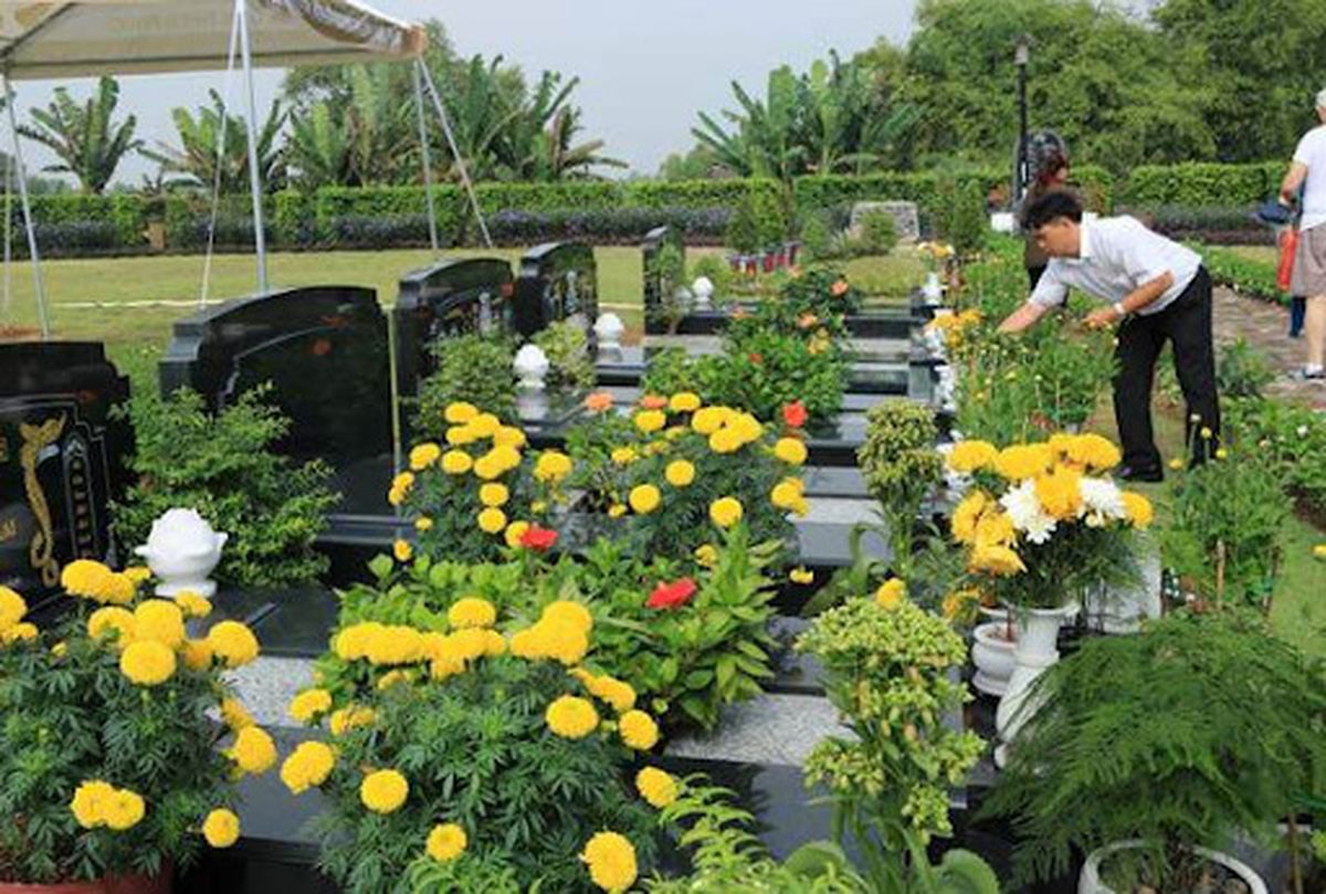 loại cây phong thủy trồng mộ