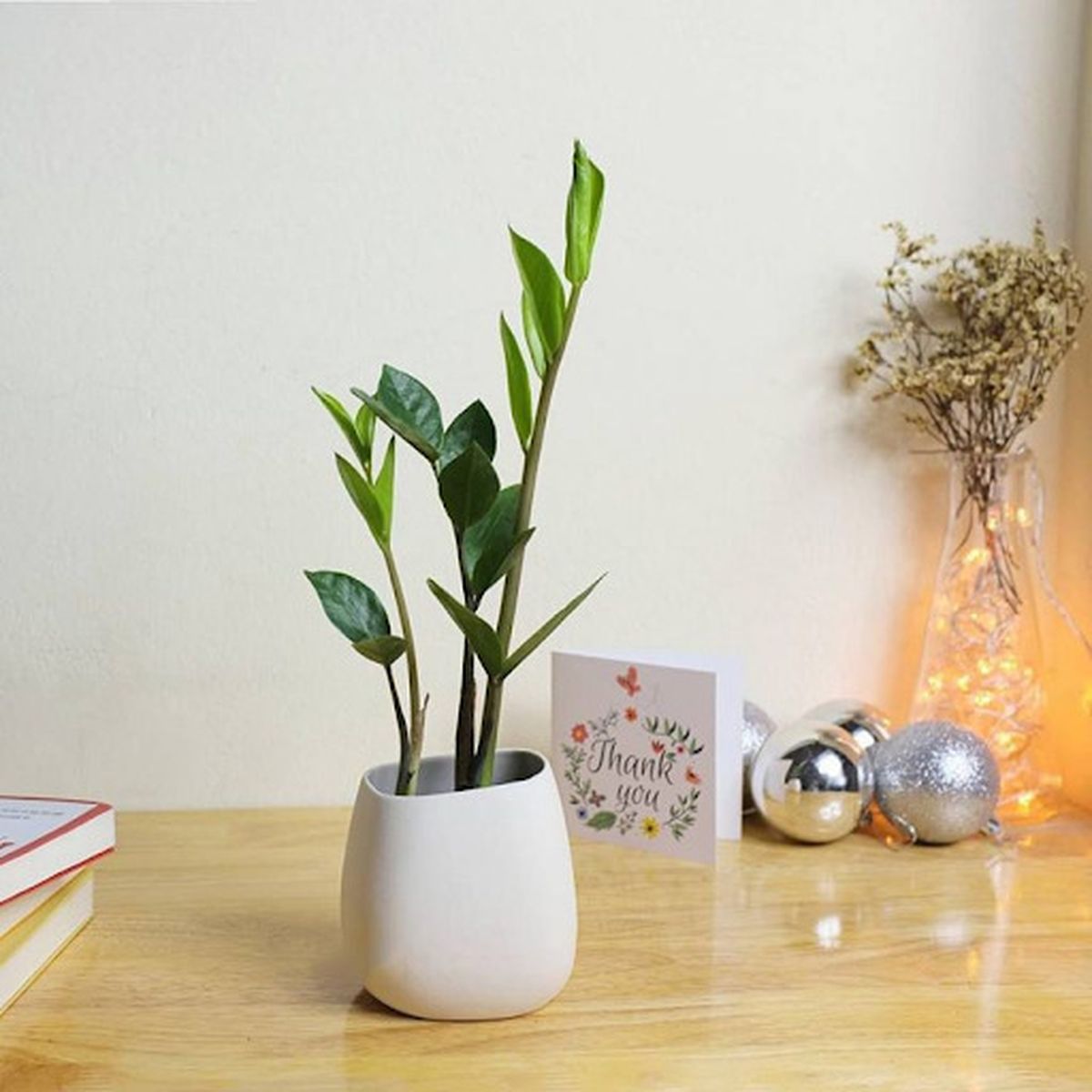 Cây phong thủy phòng khách đón vượng khí