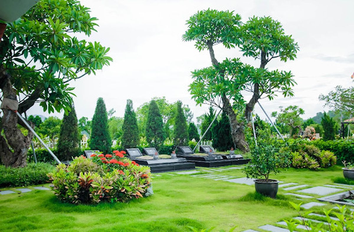 Loại cây phong thủy mang lại phúc đức