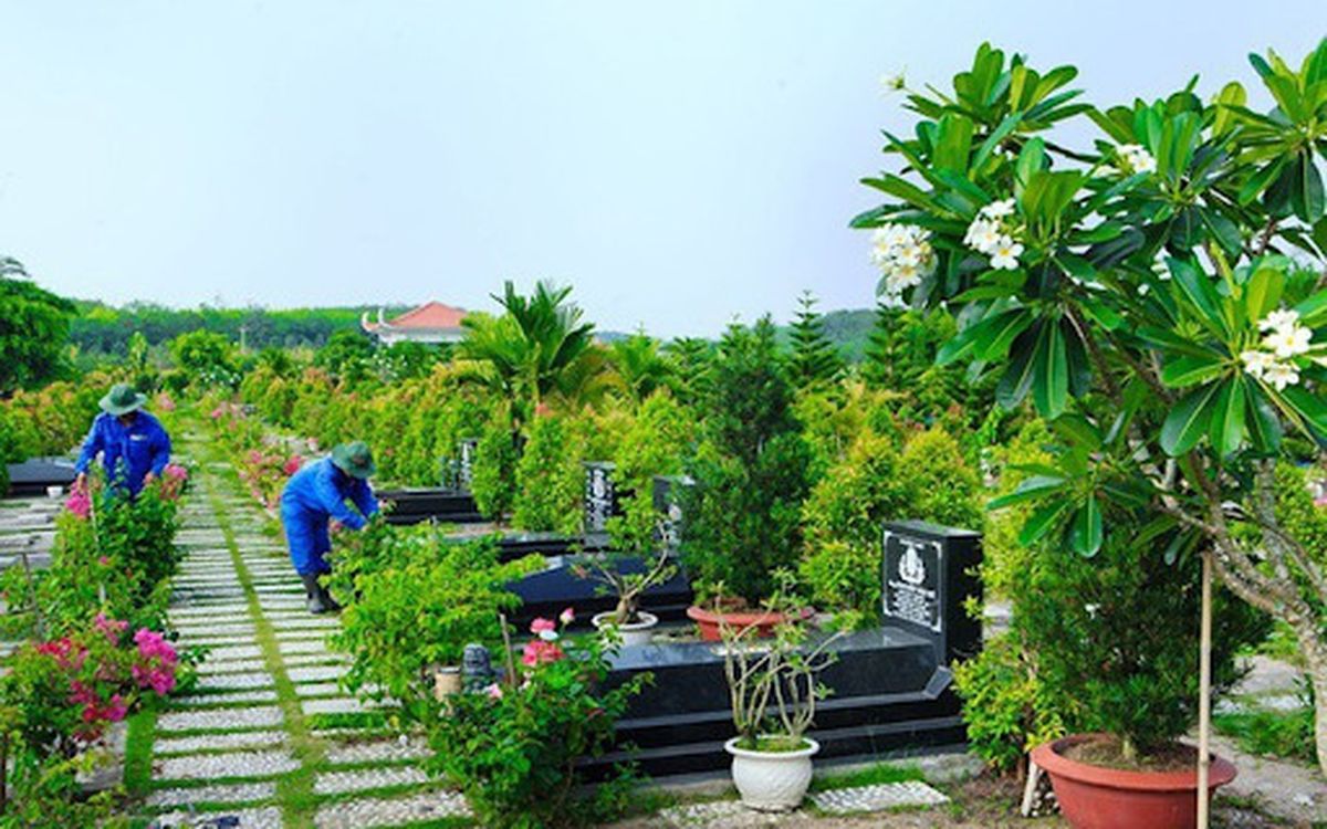 Loại cây phong thủy