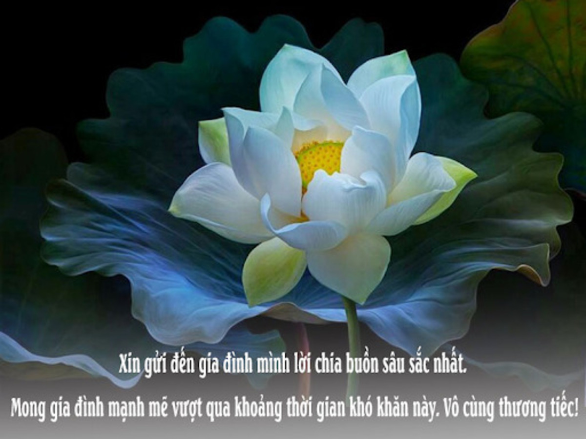 Lời chia buồn đám hiếu