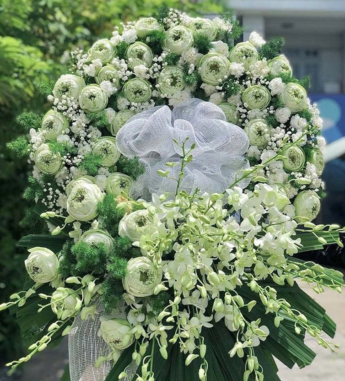 Ý nghĩa hoa sen đầy đủ