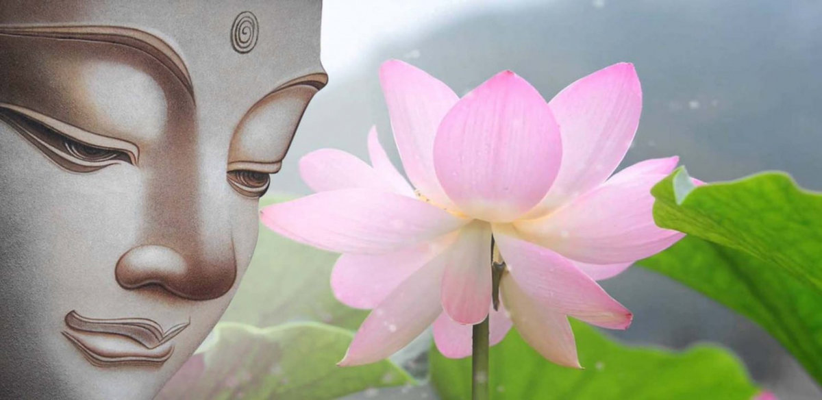 Ý nghĩa hoa sen trong phật giáo