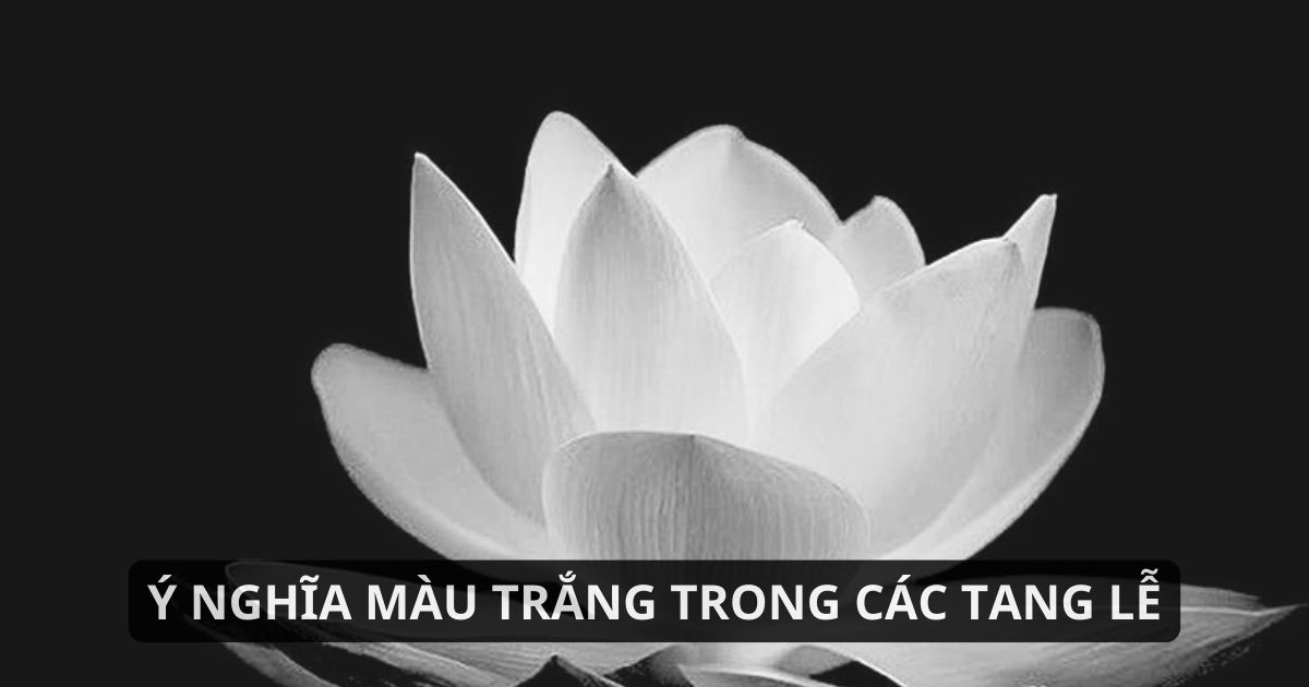 Ý nghĩa màu trắng trong đời sống và tinh thần